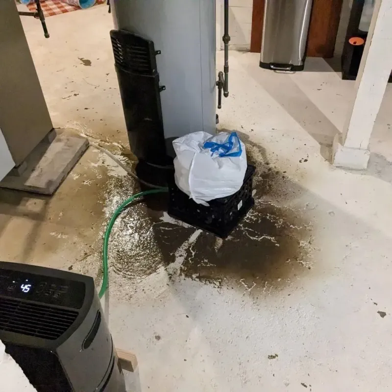 Sewage Backup Cleanup Service in Hayti, MO